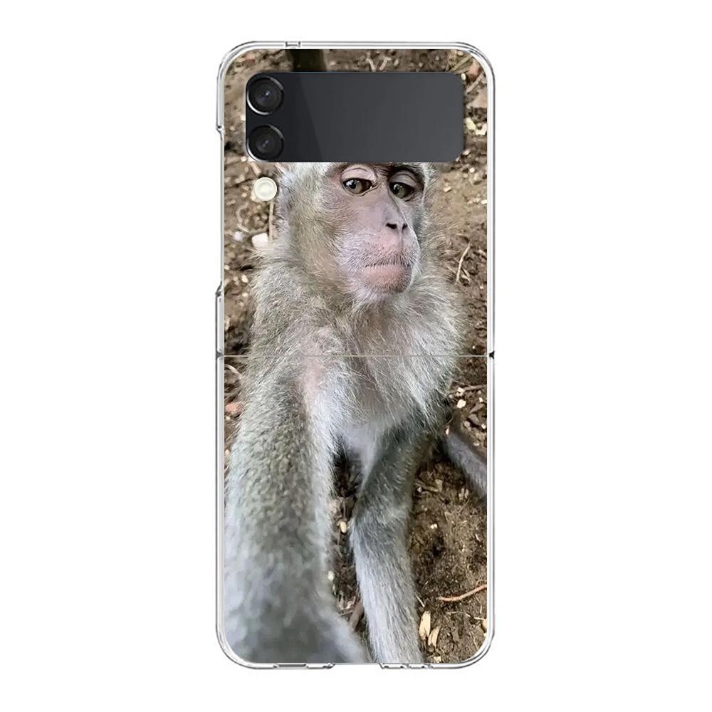 Transparent Phone Case For Samsung Galaxy Z Flip 3 4 5 6 7 Hard Folding PC Z Flip3 Flip4 Cover Cute Funny Monkey