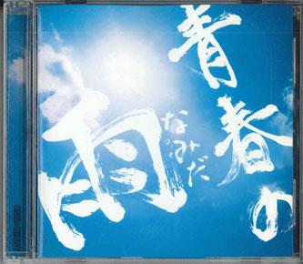 

CD - Seishun No Namida AICL1861PROMO SONY Japan Japanese Pop/Rock Used