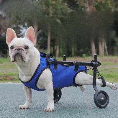 Fahrzeug zur Reiseunterstützung für behinderte Hunde, Brust- und Rückengurt, Hunde-Rehabilitationsübung, Brust- und Rücken-Haustierbedarf