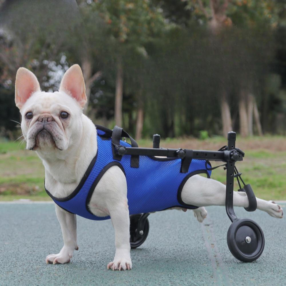 Disabled Dog Travel Assistance Vehicle, Chest and Back Strap, Dog Rehabilitation Exercise, Chest and Back Pet Supplies