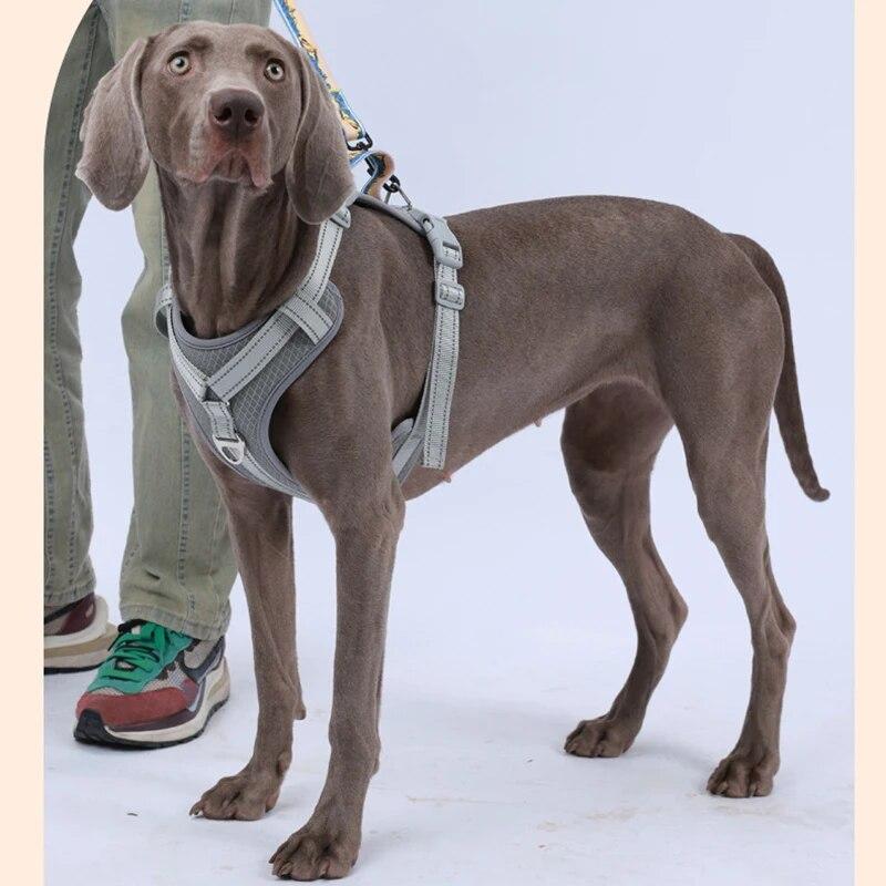 Hundegeschirr ohne Ziehen für mittelgroße und große Hunde, reflektierende Weste mit Griff, Welpenhalsband, Geschirre, Haustier-Zubehör für Spaziergänge im Freien