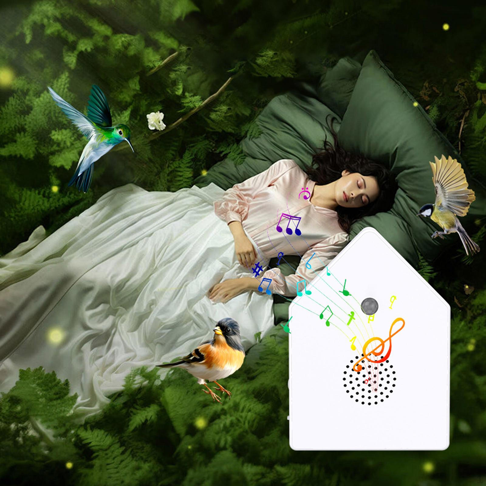 

Коробка со звуками щебетания птиц Реалистичный звук Интеллектуальная Портативная Машина Внутренний Окружающий Шум