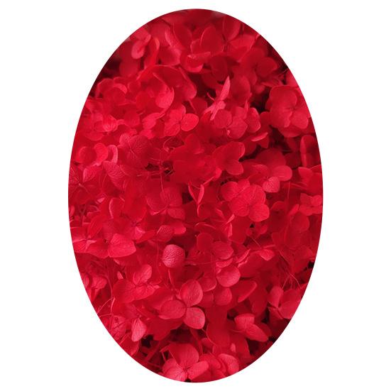 1 krabice Sušené květinové hlávky Stálobarevné Vynikající 21 stylů Vynikající Atraktivní květy hortenzie Domácí dekorace