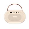WOPOW AP08 Bluetooth Karaoke Speaker CN plug (adapter included)