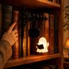 Library Style Ornament Ghost Reading Bookshelf Light, Vintage Metal Book Nook Lamp, Spooky Bookend Lamp Ornament, Warm LED Shelf Light for Lovers