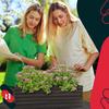 Kotarbau® Wooden Garden Planter Box For Terrace With Insert Anthracite 44 X 20 Cm