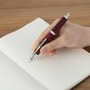 PILOT Capless Fountain Pen Wood Body F Fine (Black) FC25SKDRF, 18K Nib