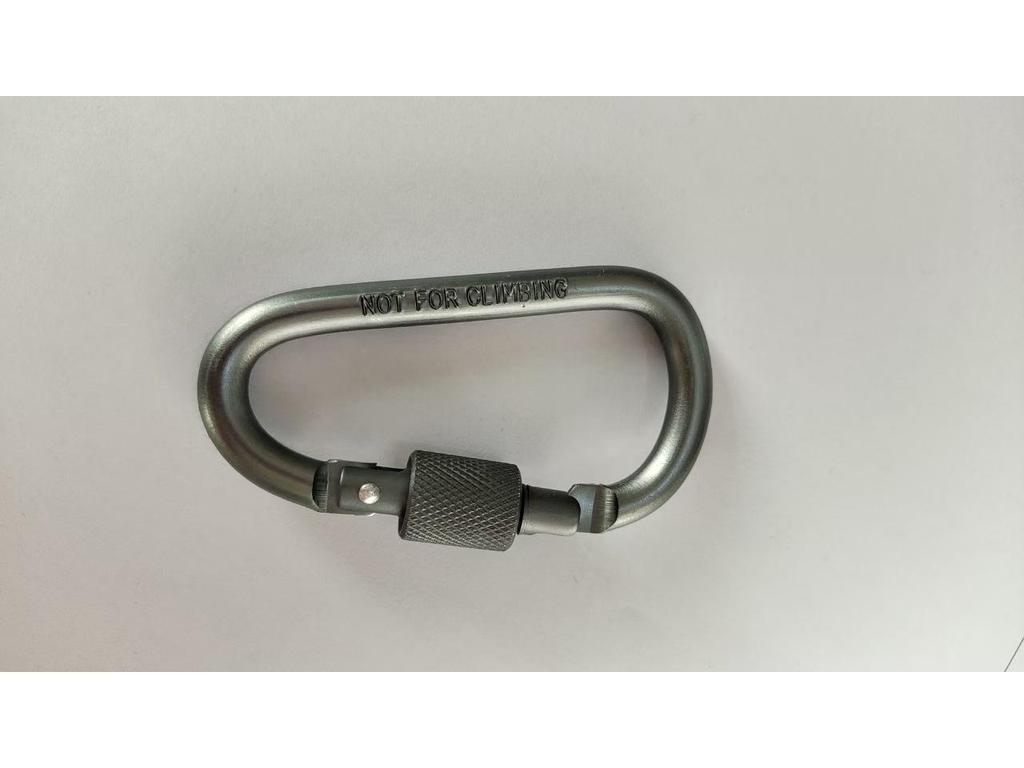 Large D-Type Aluminum Climbing Hook with Quick Link & Keyring