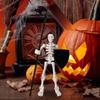 Akční figurka kostlivce Pohyblivá panenka kostlivce Pro Halloween Model lidské kostry Hračky Figurka Dekorace Pro sbírání Vystavení Vnitřní