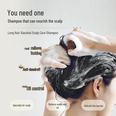 Changfa Xiaozhai Reiswasser Kopfhautpflege Shampoo