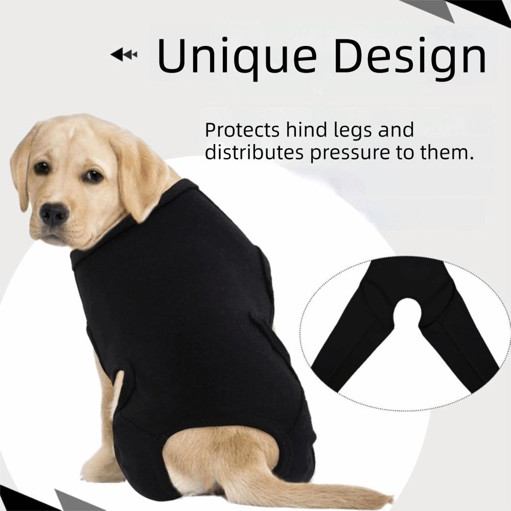 Adjustable Dog Leg Rehabilitation Suit Breathable Dog Knee Brace Wound Protection