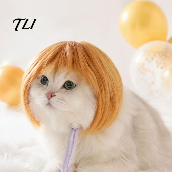Comfortable Dog Hair Accessories Funny Pet Wig, Cute Bob Cut Cat Afro Curly Wig with Adjustable Grooming Props Elastic Band, Breathable Cosplay