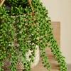 1PC Artificial Green Plants, Love Tears, Home Decoration, Fake Plants, Simulated Green Plants, Ceiling, Plastic Vines