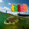 Soft Fishing Lures With Realistic Wiggling Action For Freshwaters Saltwater Basses Includes Tail Grubs