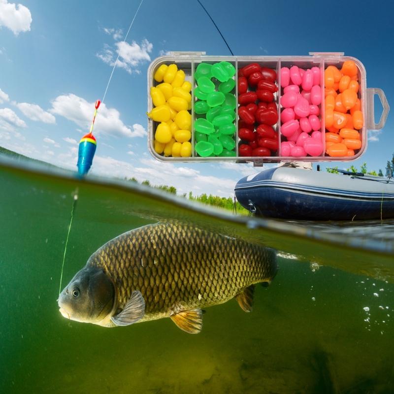 Soft Fishing Lures With Realistic Wiggling Action For Freshwaters Saltwater Basses Includes Tail Grubs