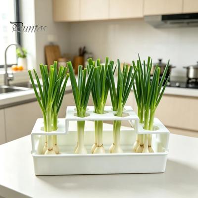 Tuin en moestuin – Tuinpotten en -dozen