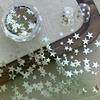 Size Mixing Sparkling Star Nail Glitter Sparkling Pentagram Nail Decor Nail Salon Design Cute Accessories DIY Nail Art Design