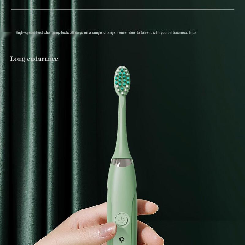 Chang Baosen S6 Sonic Vibrating Electric Toothbrush CN plug (adapter included)