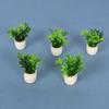 5pcs Plastic Simulation Vase Mini Green Luo Plant  Outdoor Doll House Model Accessories