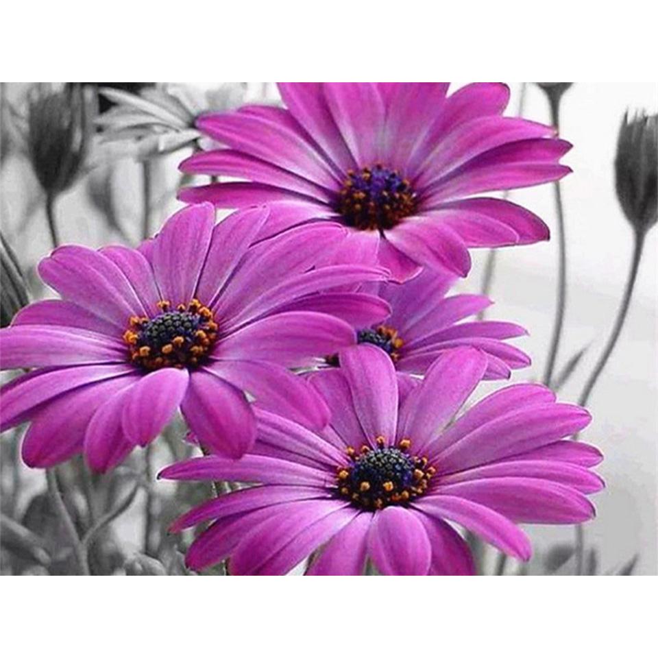 5D DIY Diamond Painting Flower Cross Stitch Kit Diamond Embroidery Rhinestone Picture Mosaic Home Decoration Hand-Mosaic Gift