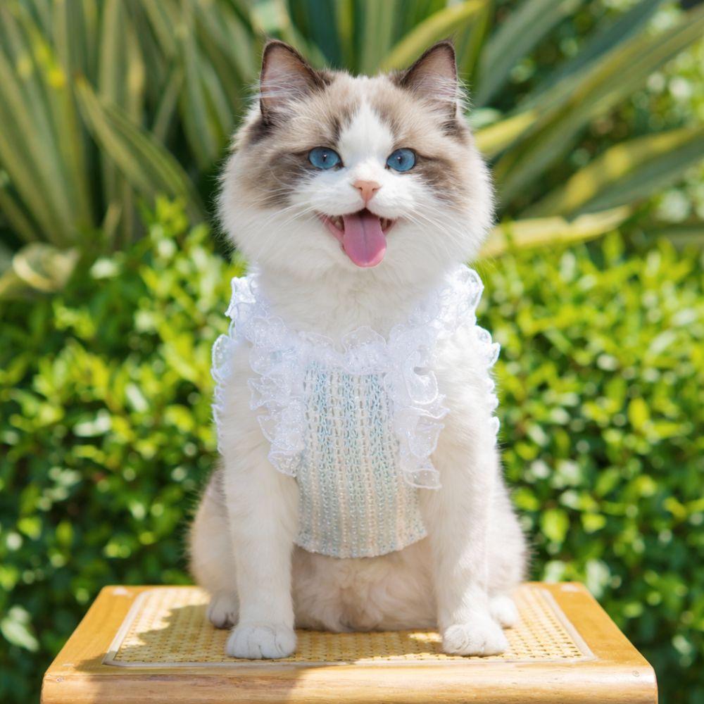 Lace Bow Cat Dog Vest Hollow Pet Princess Dress Cute Pet Shirt  Dog Cat Supplies