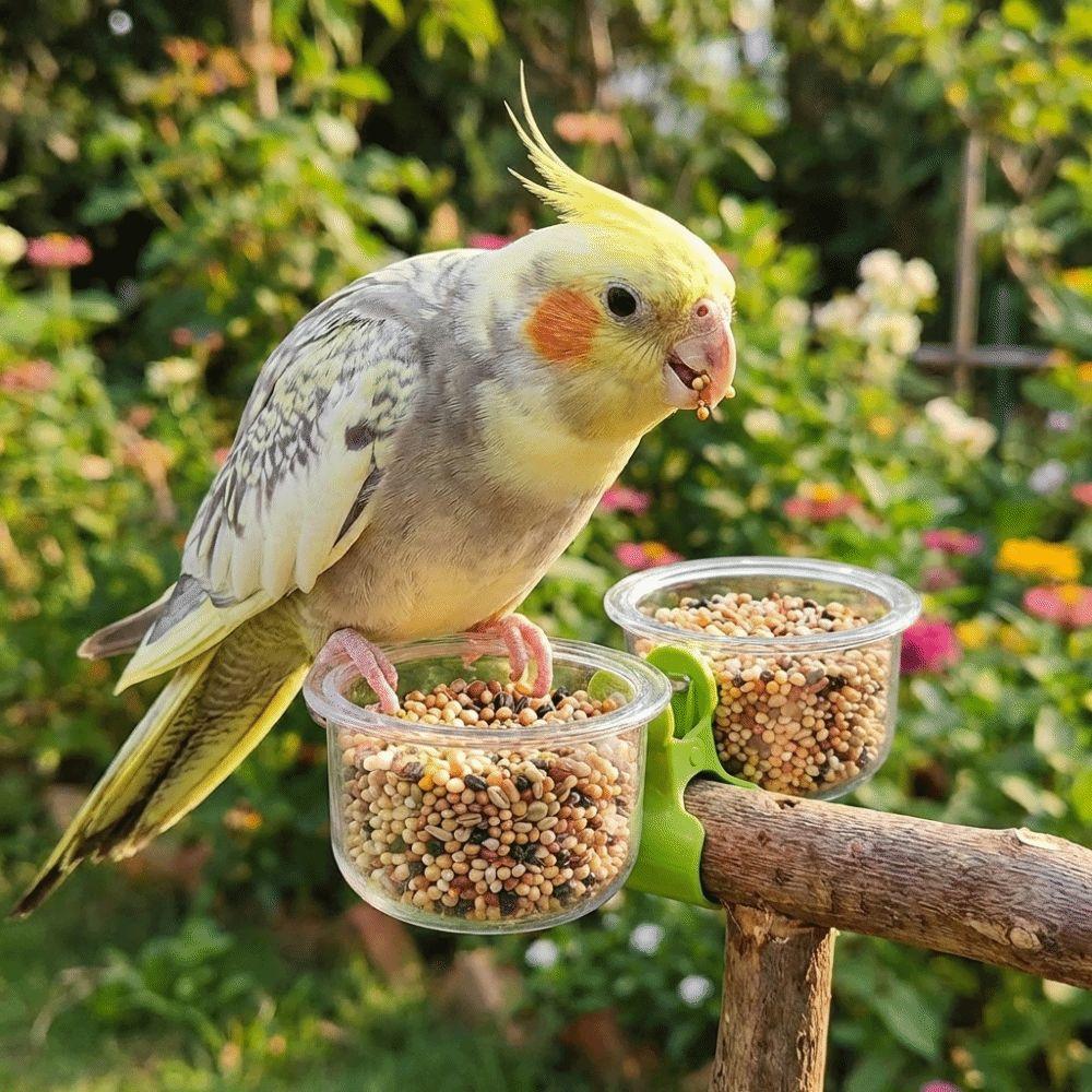 With Clip Parrot Food Bowl Transparent Feeder Cup Bird Perch Stand Water Bowl Small Pet Bird