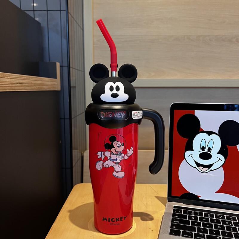 Stainless Steel Insulated Tumbler with Straw
