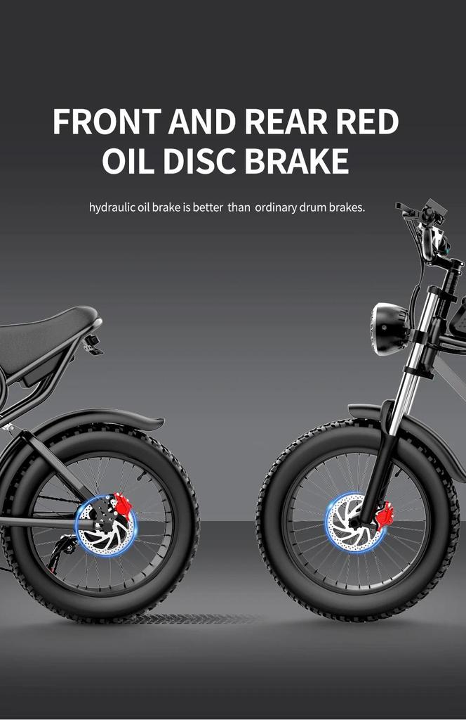 Ridstar Q20 Electric Bike 1000W Powerful Motor 48V20AH Oil Brake 20*4.0inch Fat Tire Ebike Mountain Snow Electric Bicycle