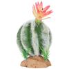 Artificial Cactus Plants Decoration High Simulation Desert Reptile Decoration for Terrarium