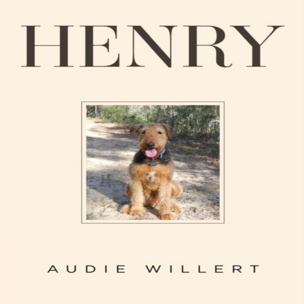Henry by Audie Willert Paperback Book 9781804390931