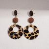European and American coffee color geometric resin earrings, personalized versatile niche temperament earrings, light luxury high-end earrings, women