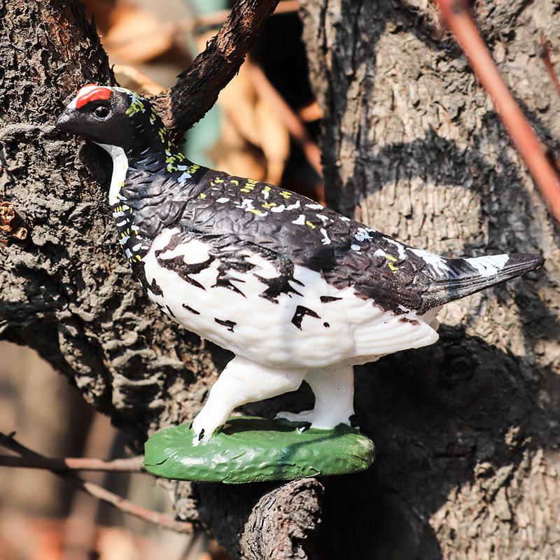 Oenux Forest Bird Animals Wild Ostrich Magpie Owl Crow Flamingos Figurines Action Figure PVC Garden Decoration Miniature Kid Toy