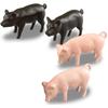 Takara Tomy Tomica Gift Welcome Tomica Farm Truck Set Mini Cars Toy for Ages 3 and Up