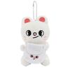 Stray Kids Cartoon Animal Plush Doll Pendant With Soft Water Crystal Fabric For Gift