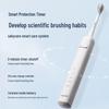 SAKYPRO Sonic Electric Toothbrush T3 Set CN Plug (adapter Included)