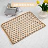 Coperta Invernale per Animali Domestici Calda Stagionale in Velluto Corallo 40 * 60cm