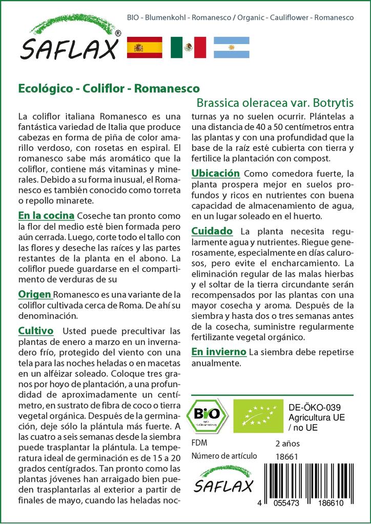 SAFLAX Organic - Cauliflower - Romanesco - 50 Seeds - Brassica Oleracea
