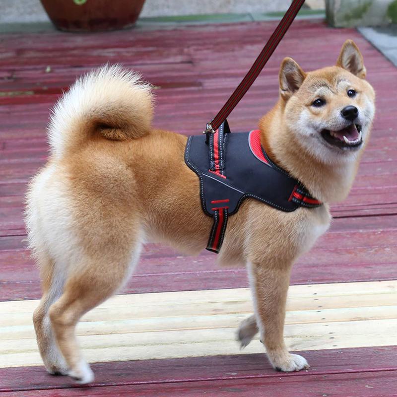 Pet No Pull Dog Jacket With Harness Custom and Leash Set Dog Harness (as the picture,L)