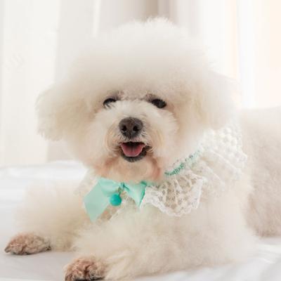 Collier pour animal de compagnie à nœud papillon Respirant Élégant Fournitures pour animaux de compagnie Collier en dentelle Tour de cou