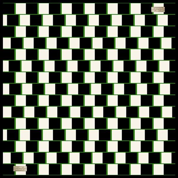 

2010 Twıll İpek - 07 - 90x90