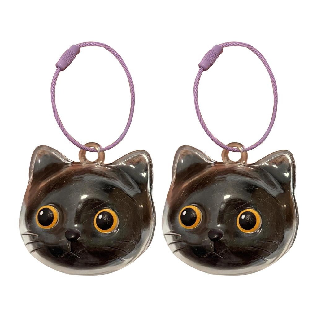 Clear Cat Head Shape Hair Keepsake Cats Furs Storage Box Keychain For Pet Memorial Jewelry Pendant With Metal Loop