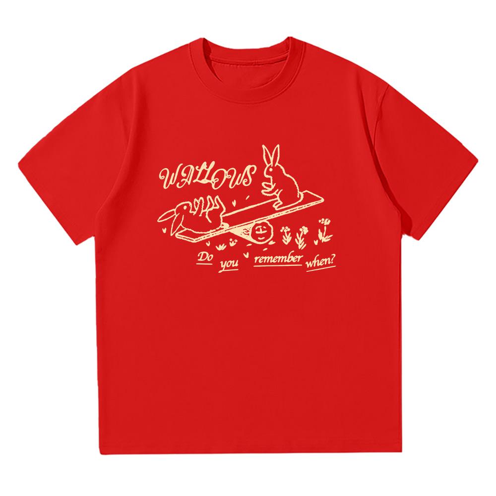 

Футболки в стиле альтернативный рок Wallows Футболка Wallows Remember When Фан Футболка Рок-музыка Женская/Мужская Летняя Повседневная Хлопковая Футболка XXL