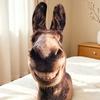 Ugly Cute Plush Pillow Smiling Face Plush Doll Comfortable Stuffed Animal  Home Decor