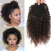 Afro Jerry Curly Drawstring Ponytail Wig with Short Small Curls