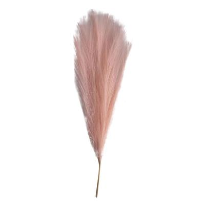 50cm Pampas Secas Grass Decor Kunstmatige Secas Grass Fake Flower Wedding Home Slaapkamer Woonkamer Decor