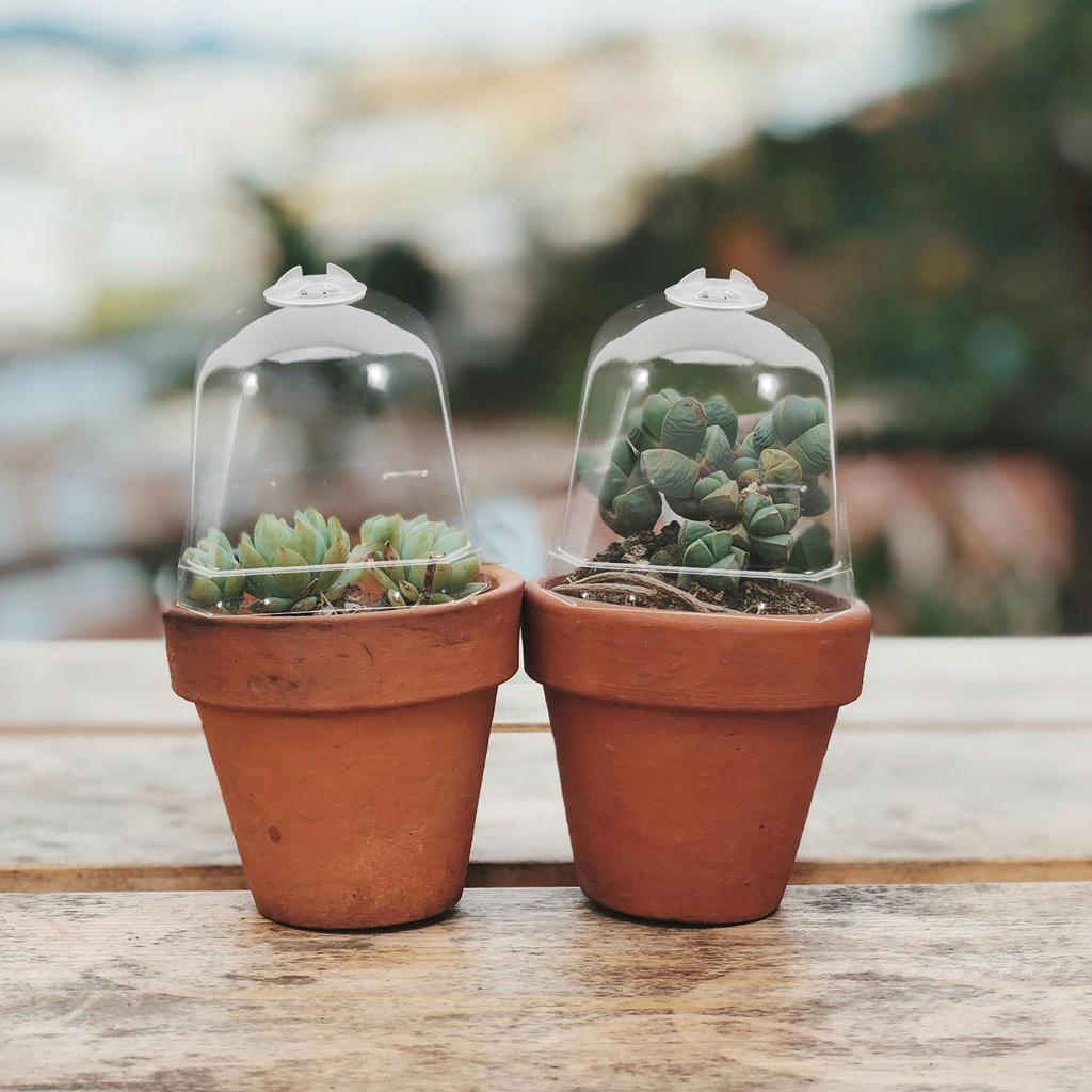 10Pcs Square Succulent Pot Covers Clear Plastic Dome Cloche Humidity Retention Plants Protector Garden Dome Covers Reusable