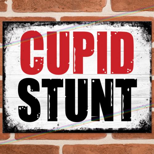

CUPID STUNT Funny Metal Signs Man Cave Pub Shed Bar Gift Garage Joke Tin Sign UKAluminum 20x30cm（7.8x11.8inch）