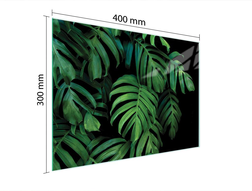 SZKLANA DESKA DO KROJENIA 40x30 MONSTERA