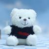 Cute Dress Up Bear Plush Keychain Adorable Sweater Doll Bag Charm Pendant Soft Stuffed Animal Toy Decoration