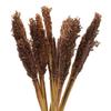 Cantal Grass Bunch Chocolate - Set of 6